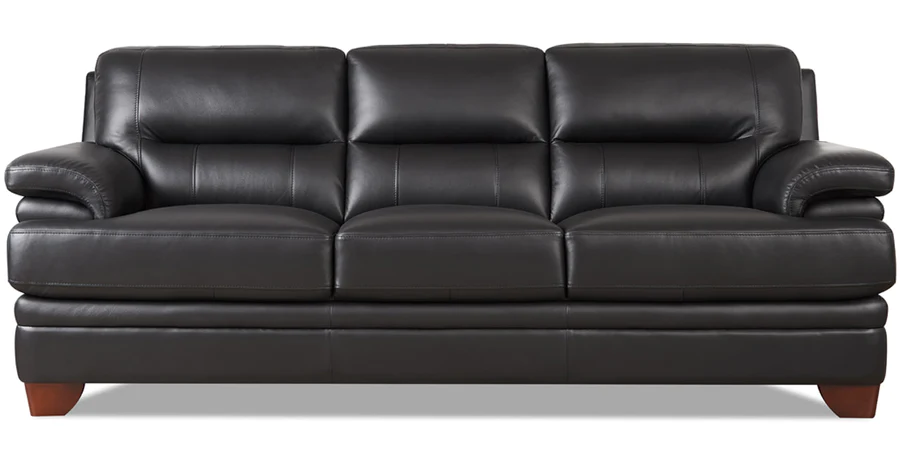 leather sofa